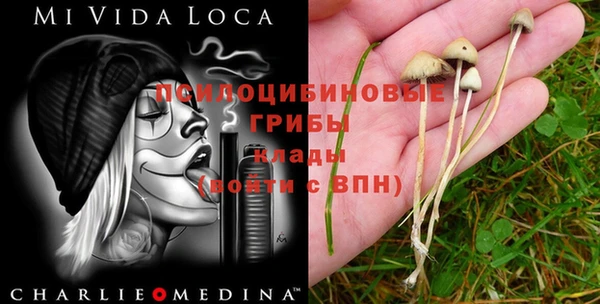 ECSTASY Армянск
