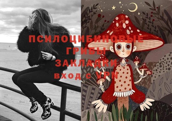 дурь Протвино