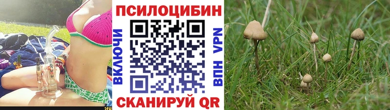 Галлюциногенные грибы мицелий  Талица 